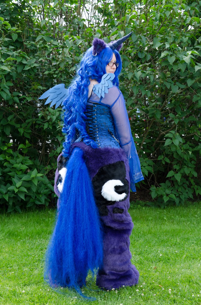 DSC_8254