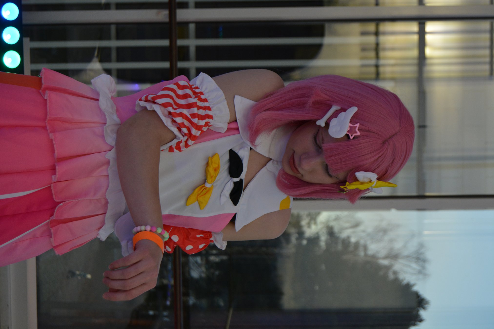DSC_0241