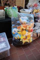 IMG_8091 (2)