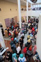 IMG_8231 (2)