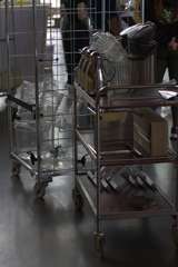 IMG_8126