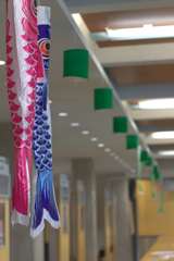 IMG_8182_01