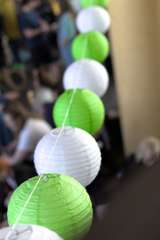 IMG_8393_01