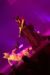 niyarifa-IMG_0470