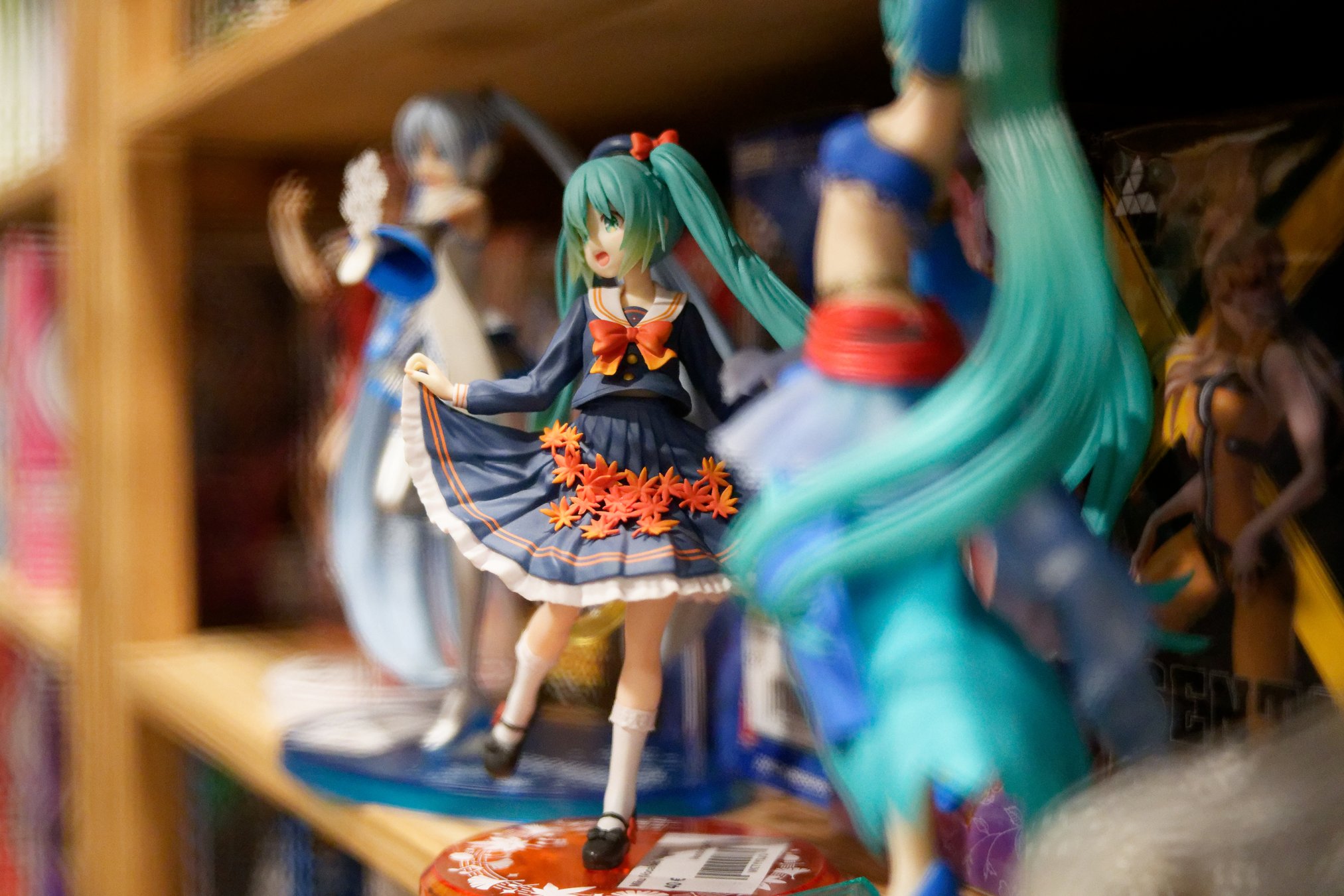DSC05437_DxO