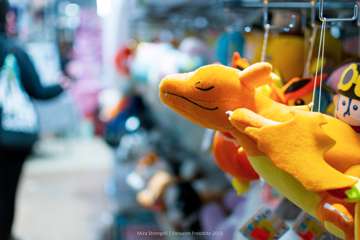 DSC_1230