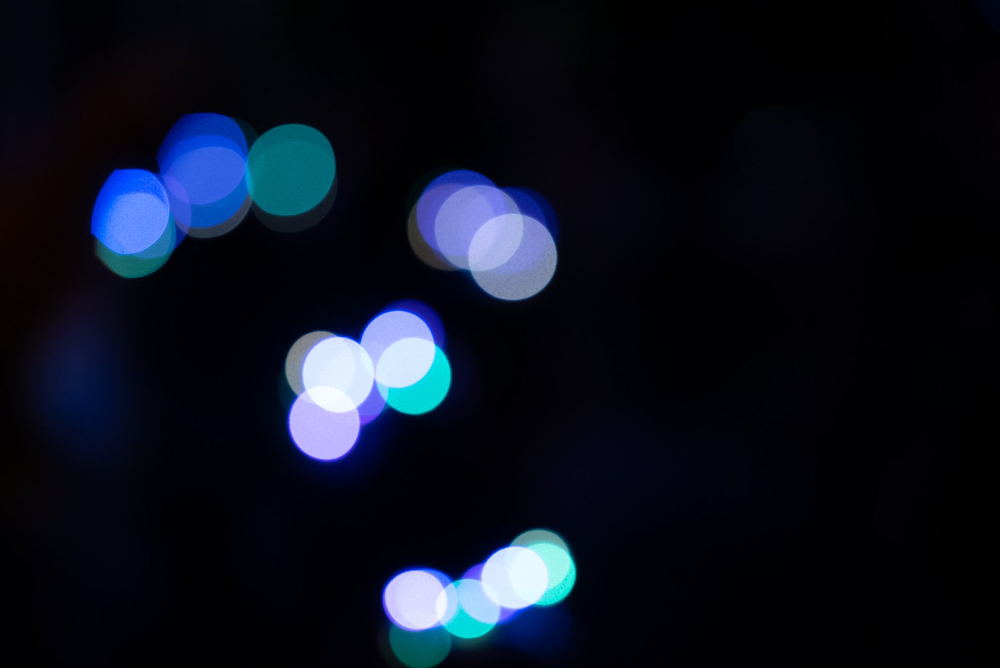 DSC_7070