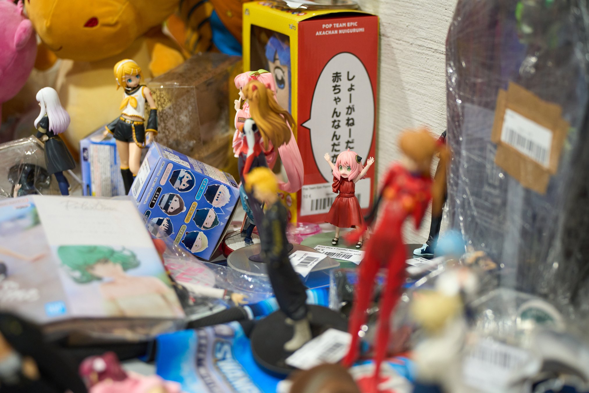 DSC00808_