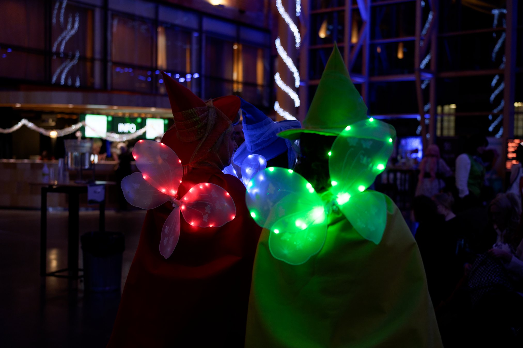 DSC09690_DxO