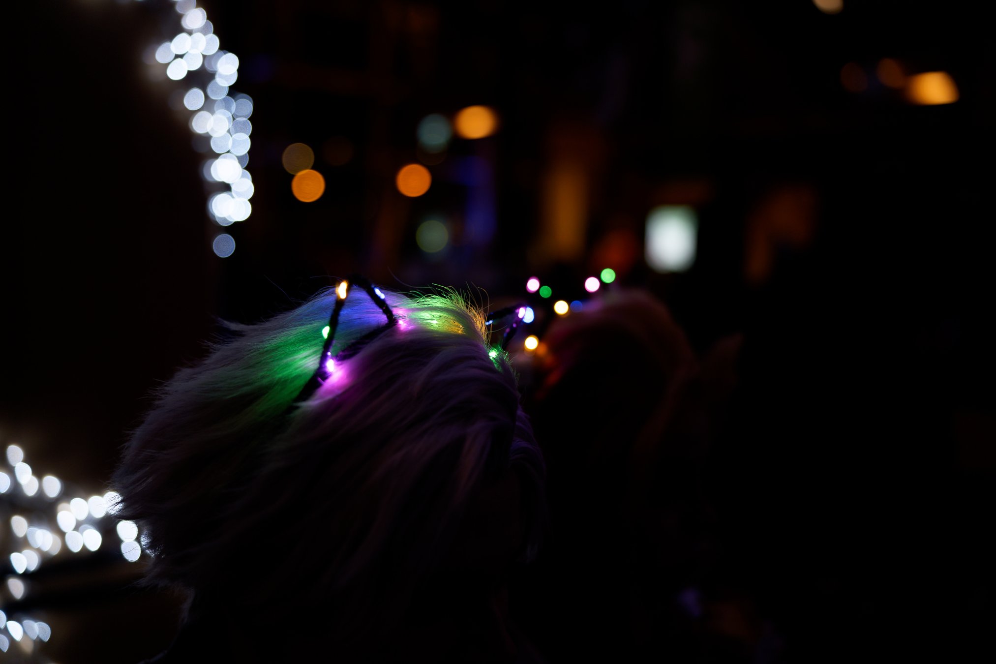 DSC09768_DxO