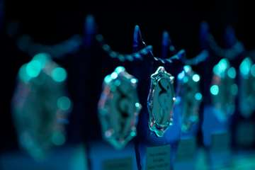 DSC02110_DxO