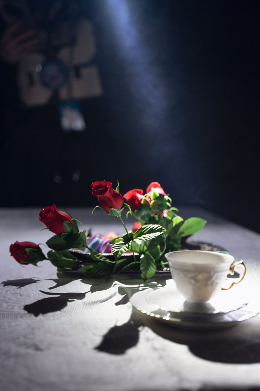 DSC09648