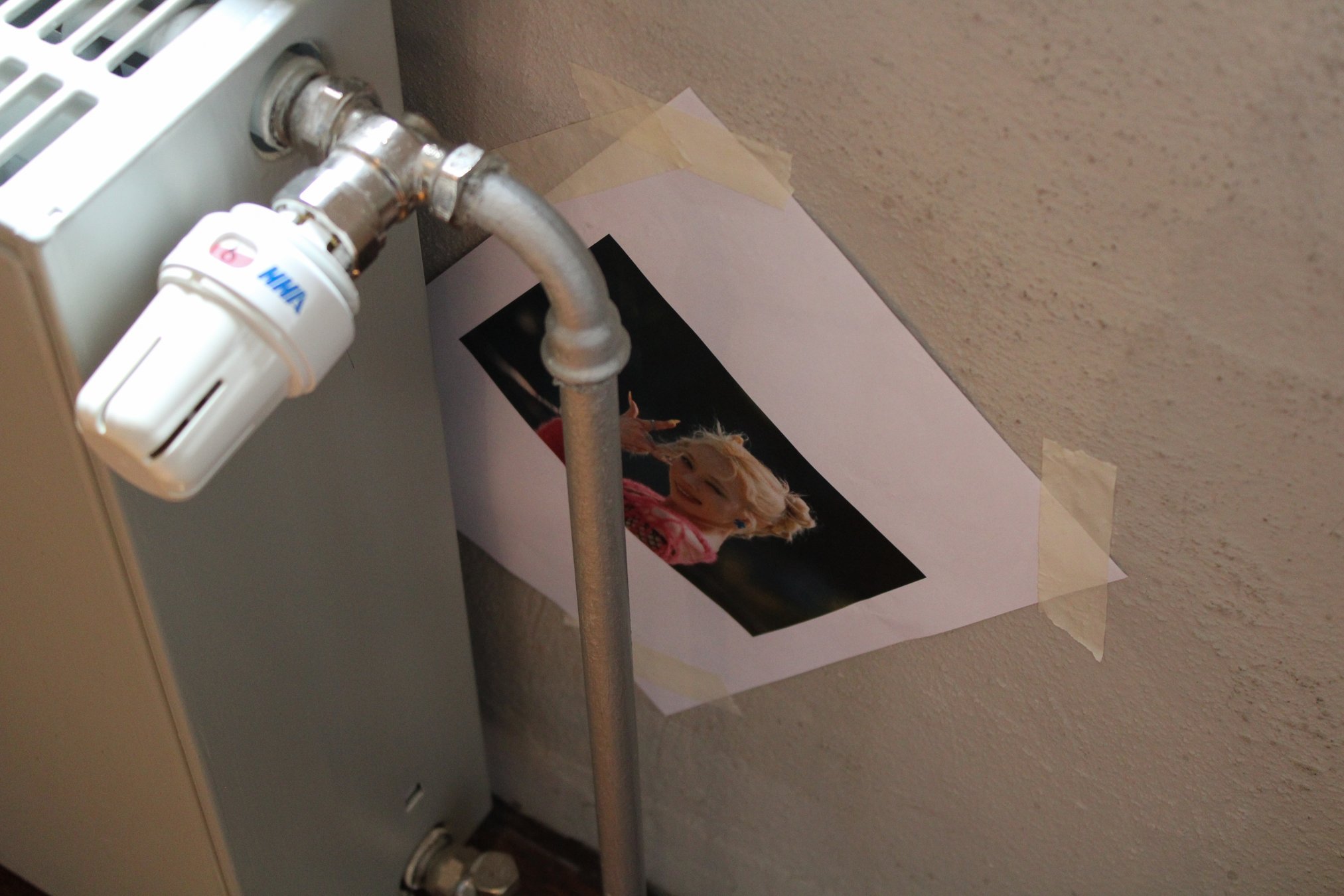 IMG_8177