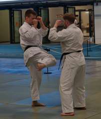 SKZ_7910