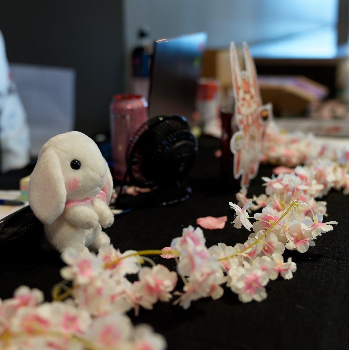 DSC06898_DxO