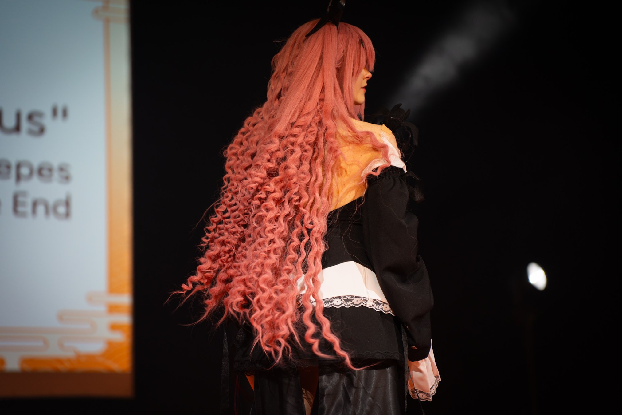 DSC06241