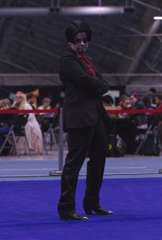 foxwalk12