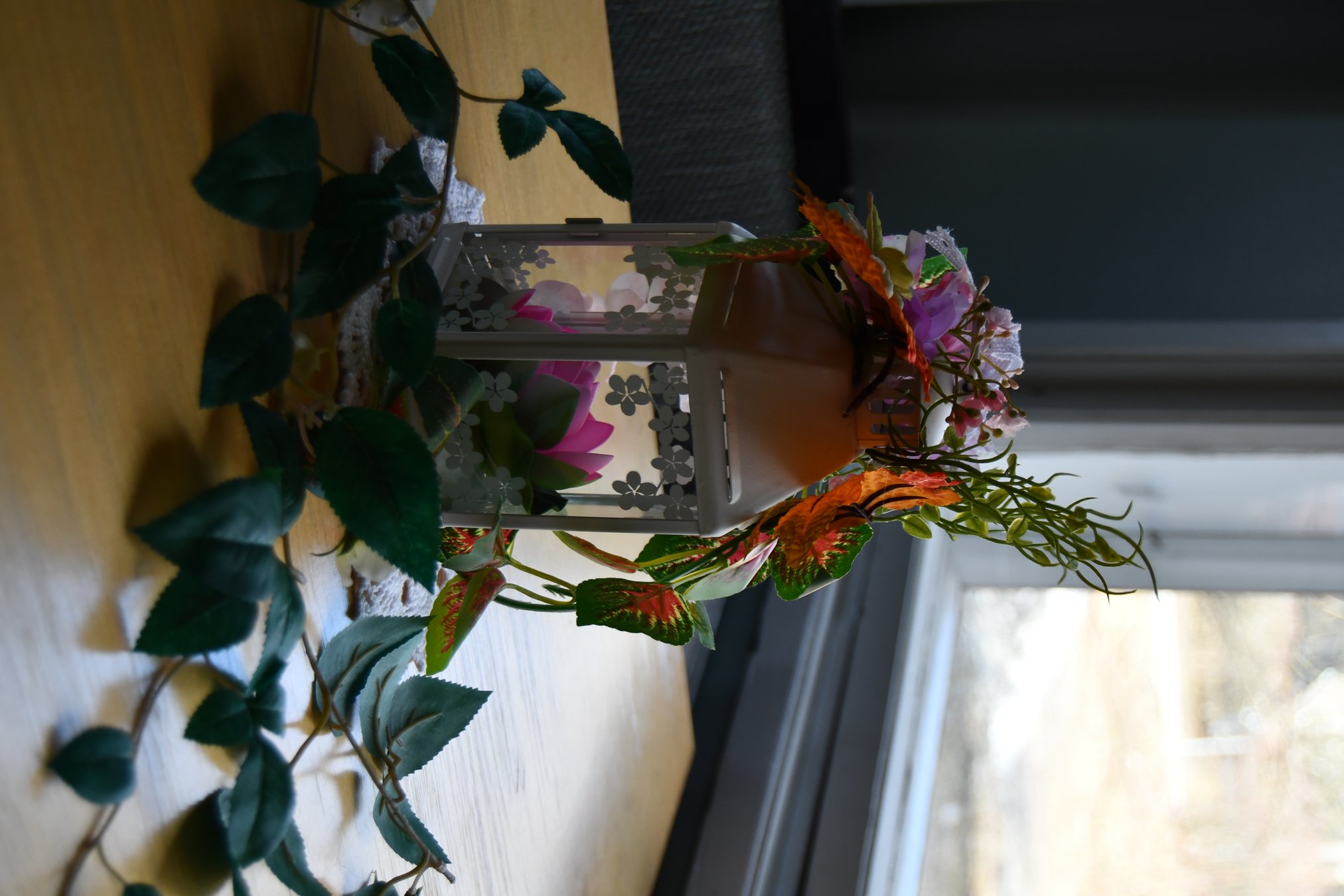 DSC_1960