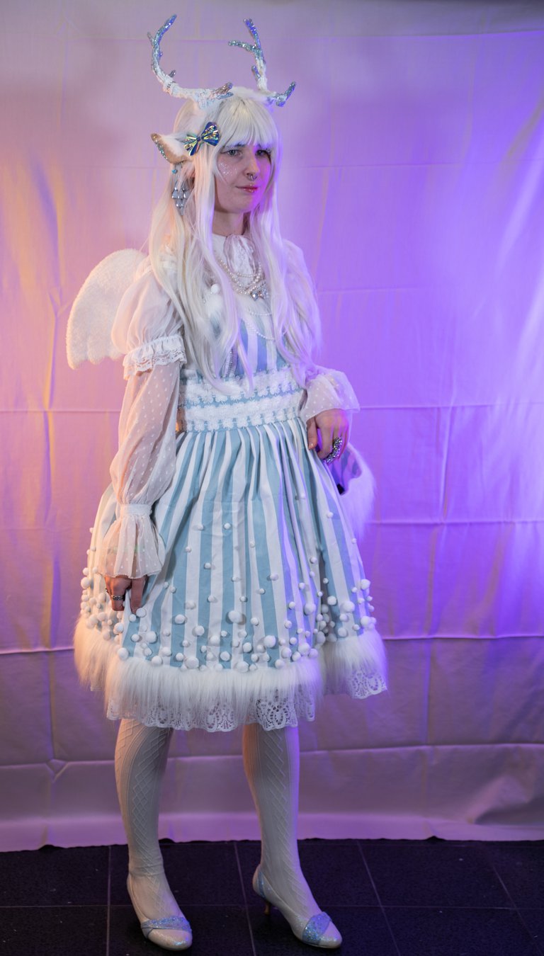 DSC02538