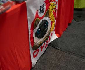 DSC09160