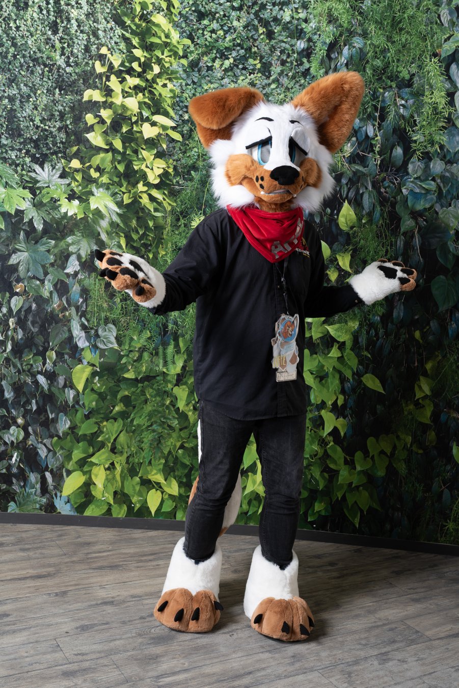 Mizumicon2026_kuvauspiste_lauantai_31