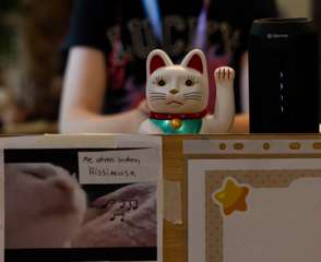 Nekocon23_155