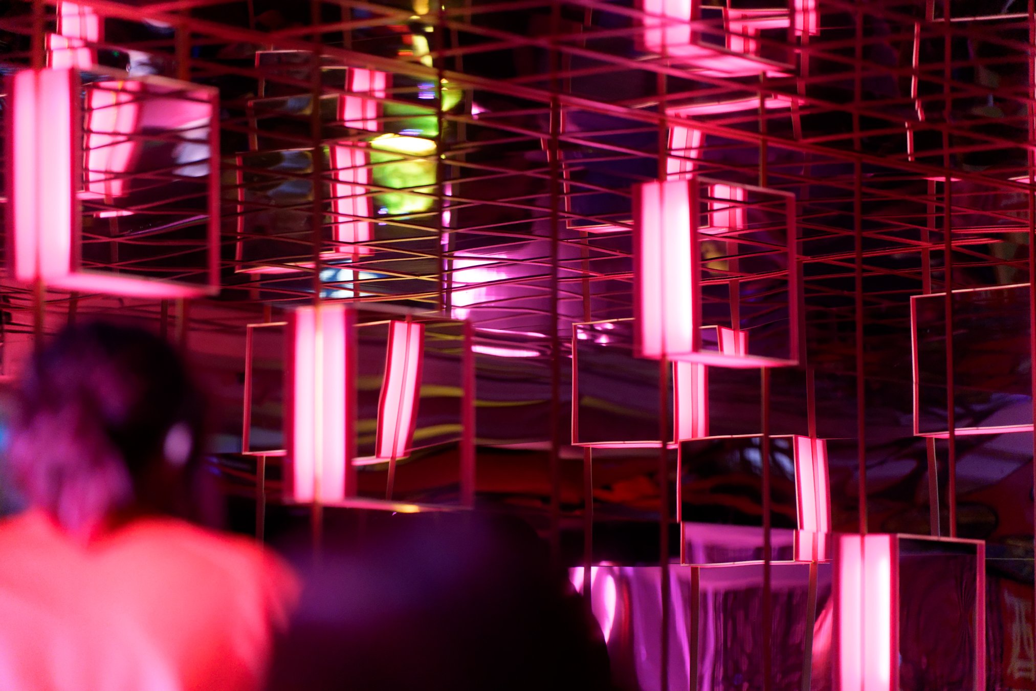 DSC00677_DxO