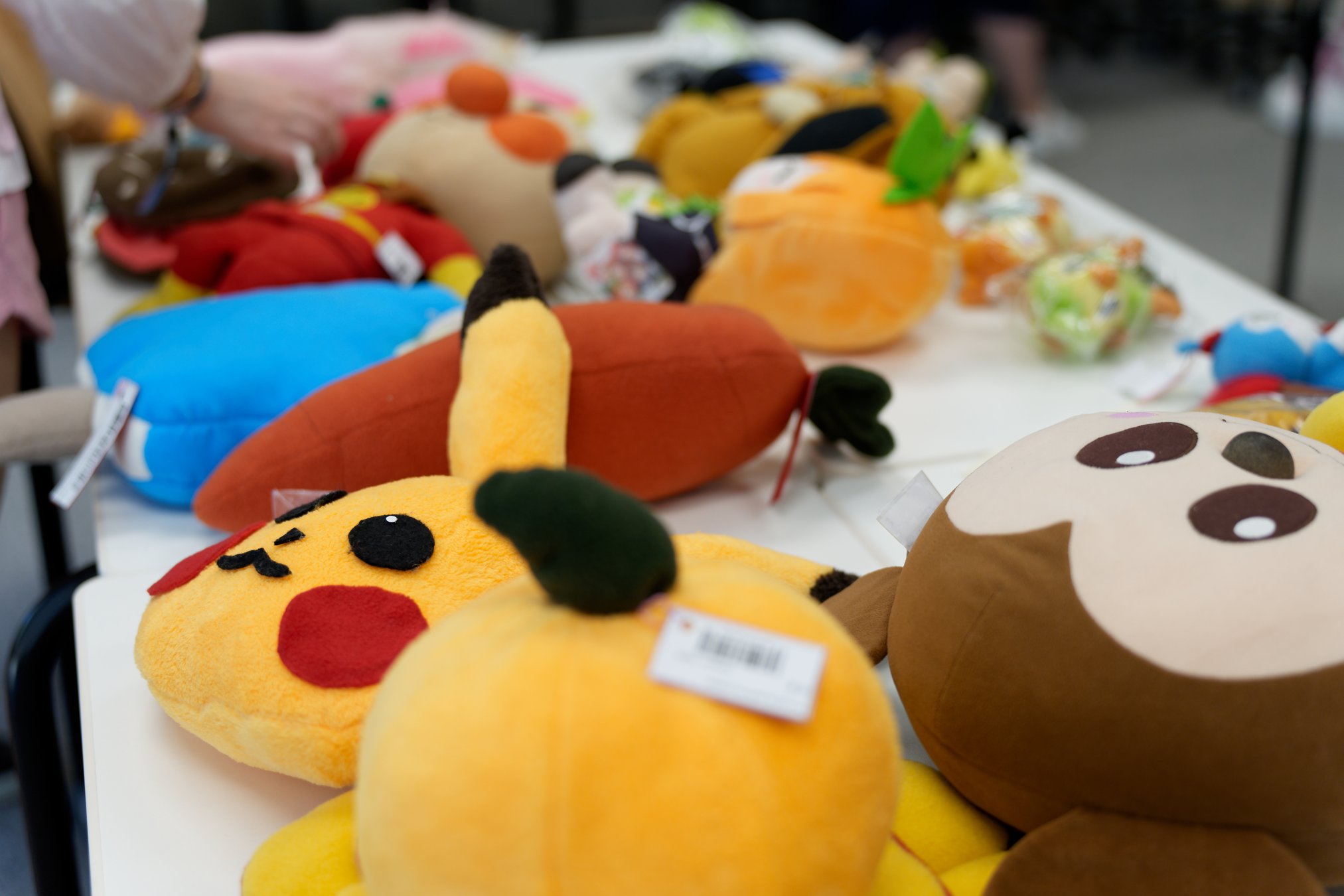 DSC00009_DxO