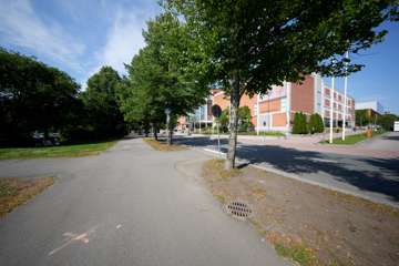 DSC07597_DxO