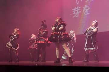 DSC08135_DxO