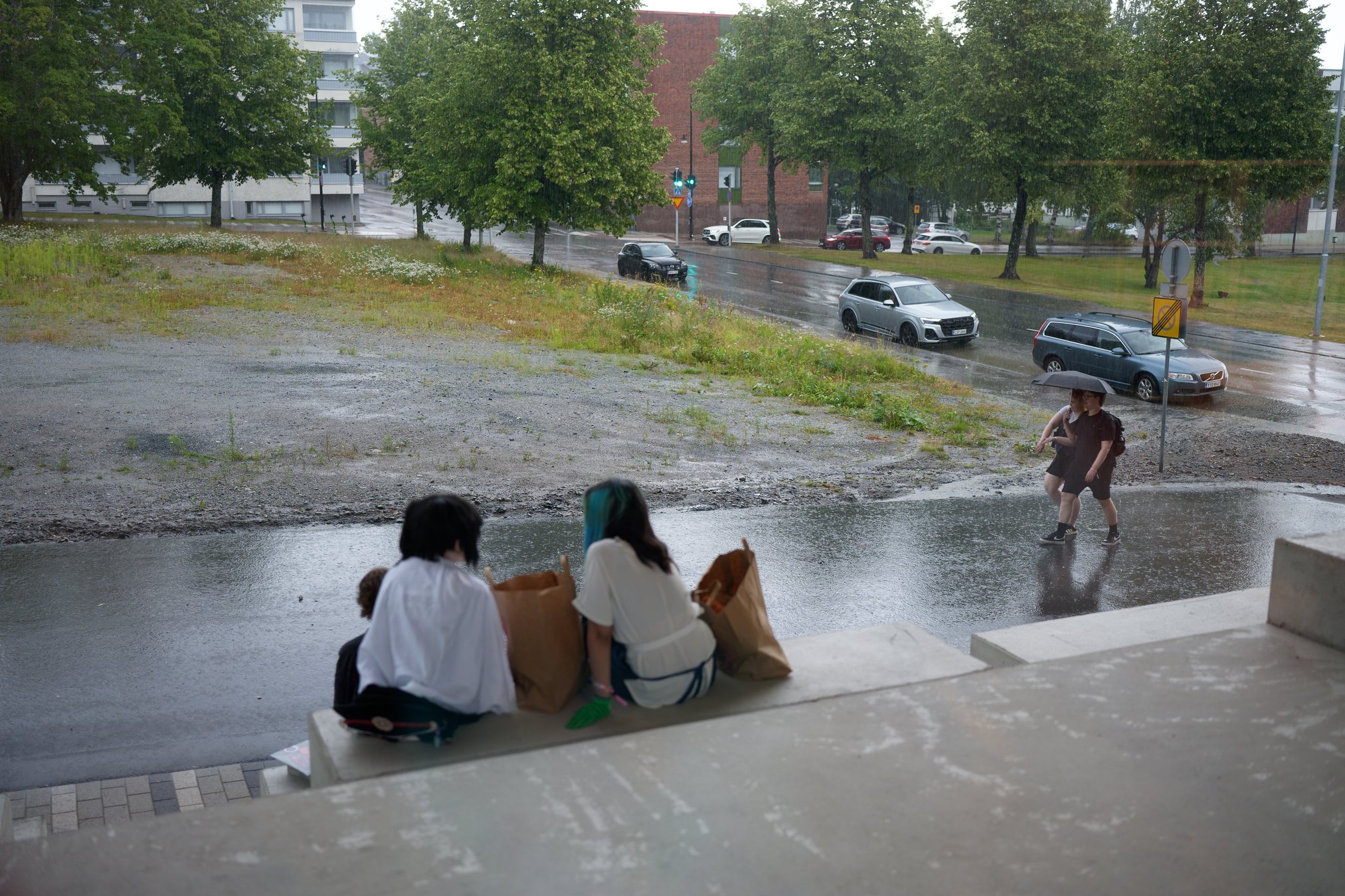 DSC08355_DxO