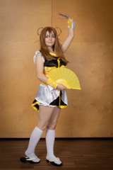 Nippori 2019 » Cosplaykilpailujen osallistujat