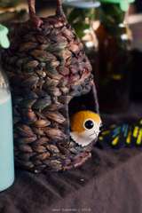 IMG_6815