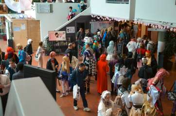 20250524-DSC_4213