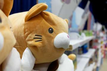 DSC02971_DxO