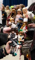 DSC02504