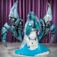 tracon_xi_hl_su-061