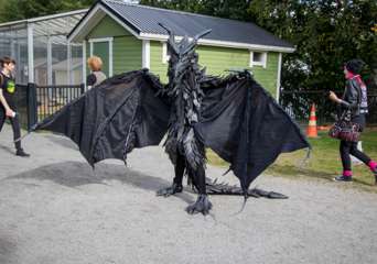 GC4A1134-1