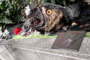 DSC_6107