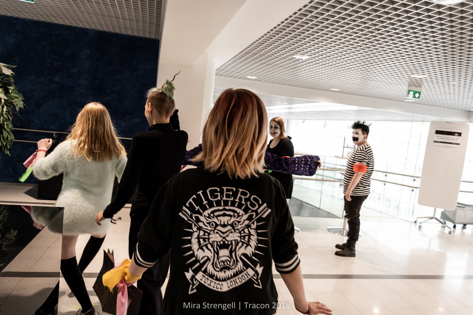 DSC_6381