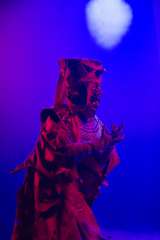 IMG_0582