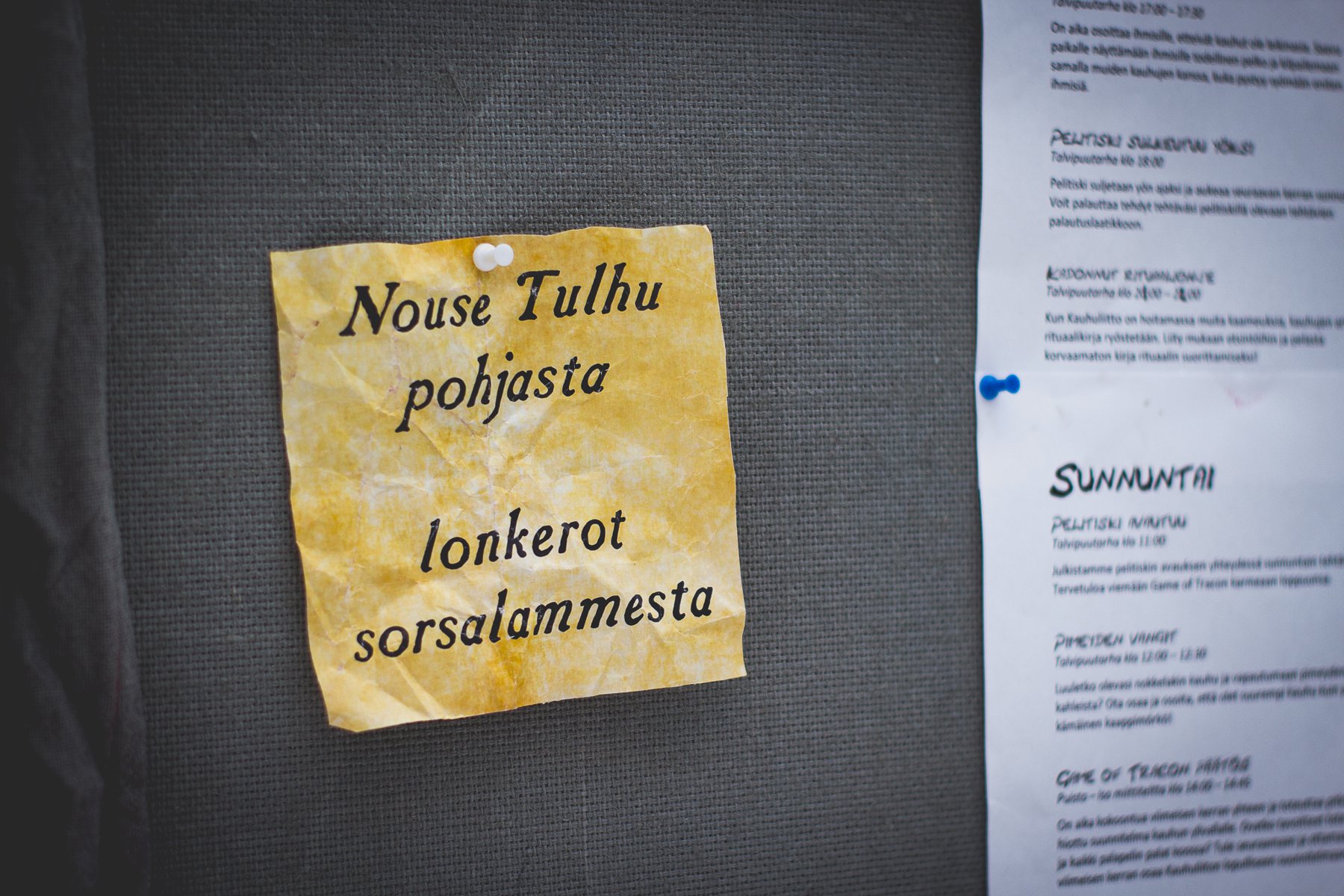tracon_sunnuntai_yleiskuvat_millakoykka (39 of 73)