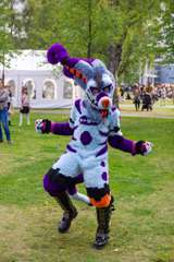IMG_0771