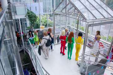 IMG (102)