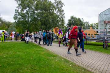 IMG (34)