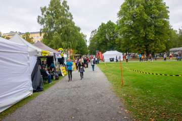 IMG (35)