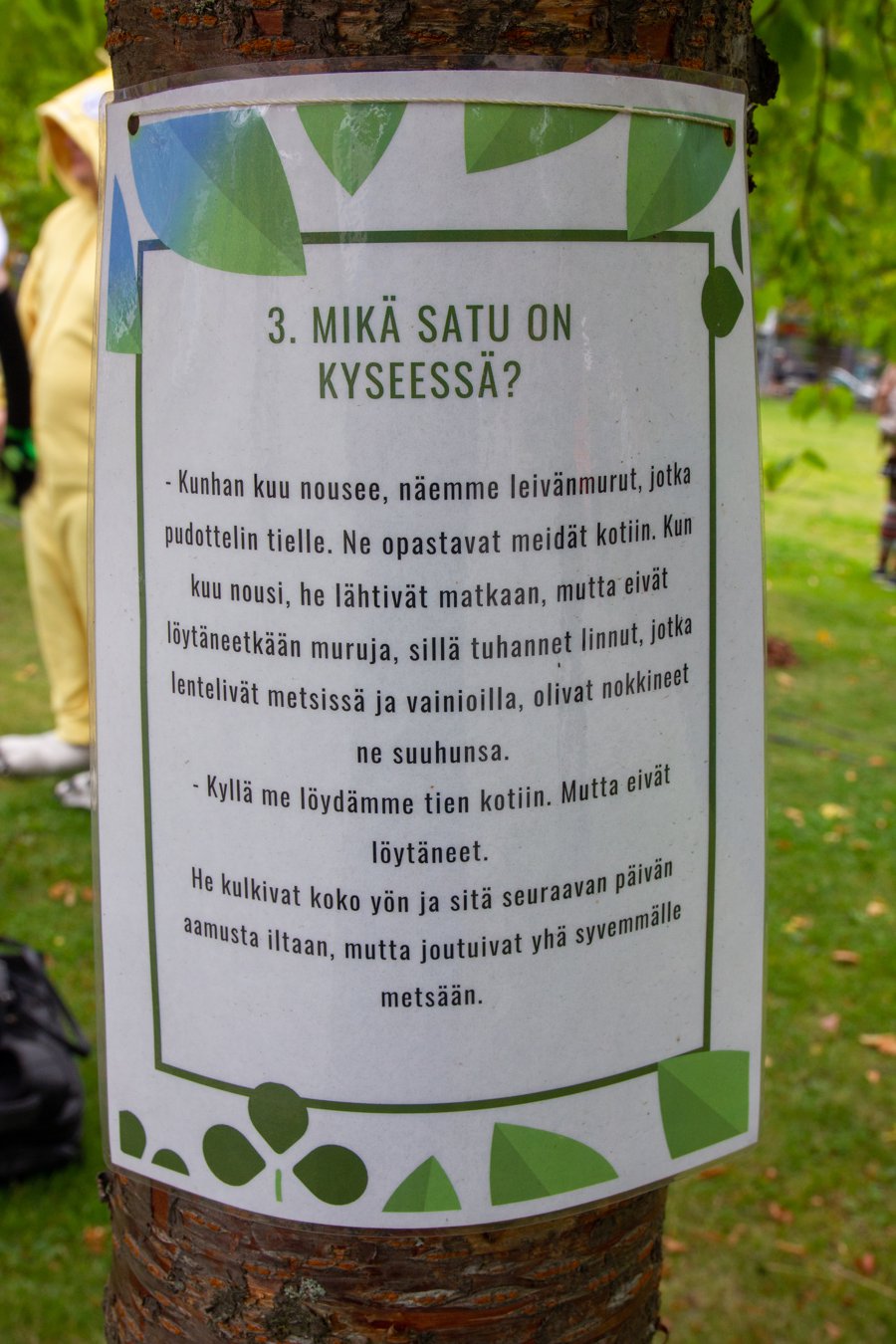 IMG (41)