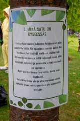 IMG (41)