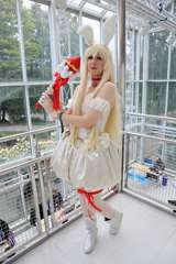 IMG_4654 (2)