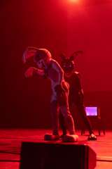 DSC01176